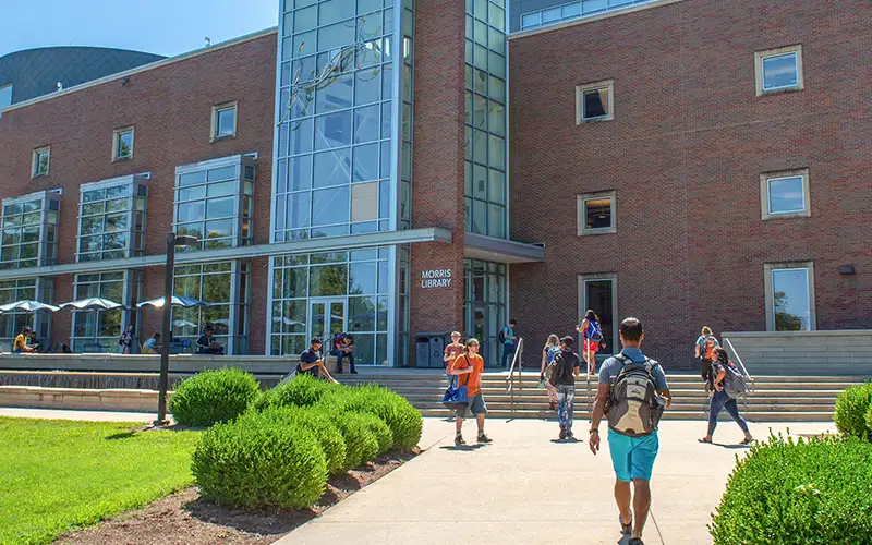 Students walk in and out of Morris Library on a sunny day at Southern Illinois University, with a modern brick and glass building and landscaped greenery in front.