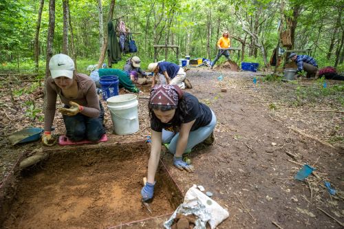 students working in the field with tools related to archaeology
