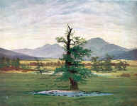 Der einsame Baum, 1823